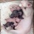 Продам элитного котенка породы Украинский левкой(лысые) (Cфинкс) - Image 1