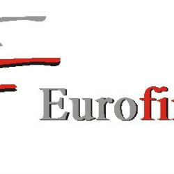 Eurofirma logo Newest